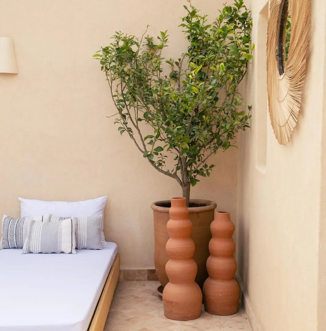 Riad A L'Ombre Des Orangers Marrakesh