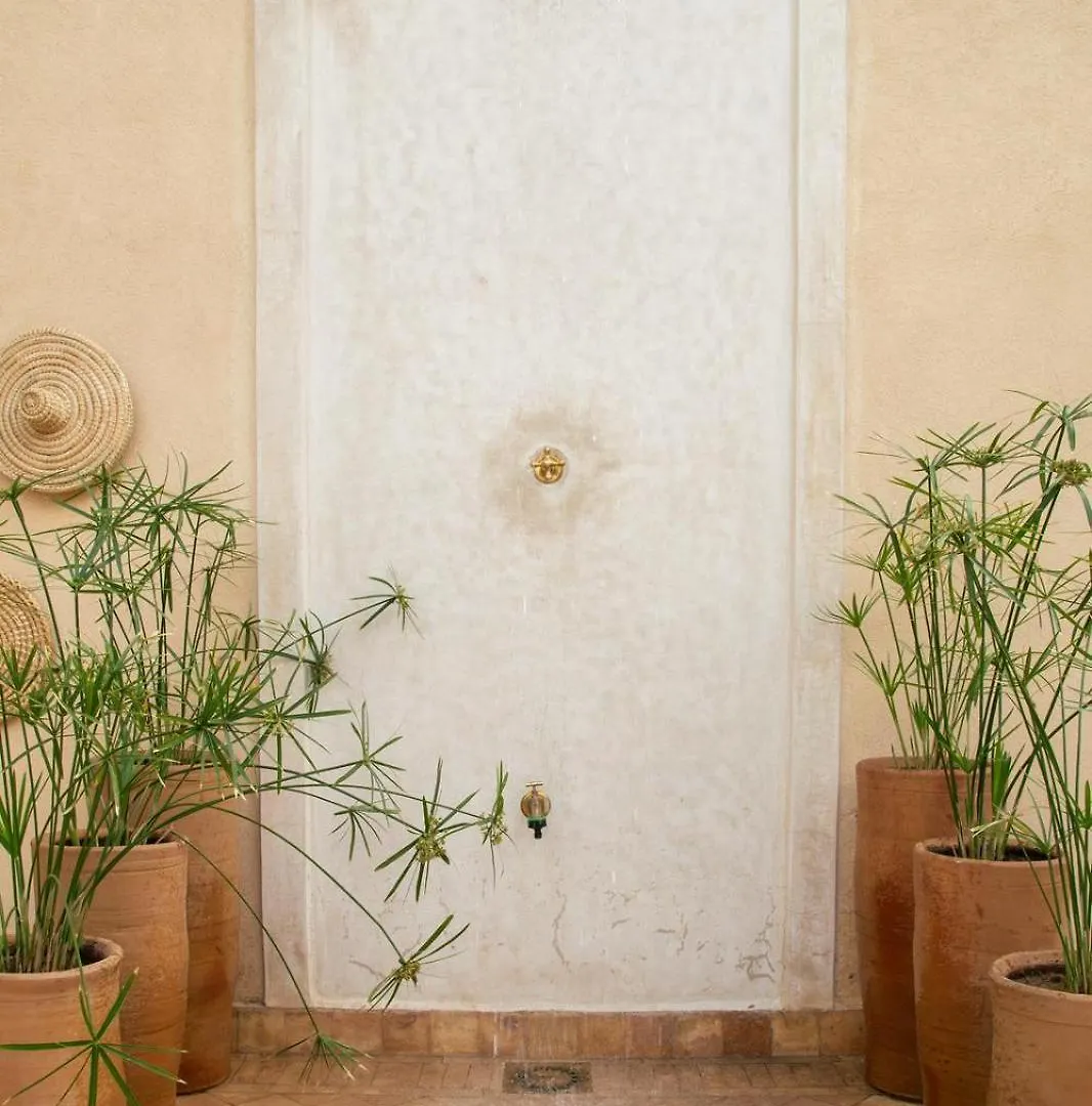 Riad A L'Ombre Des Orangers Marrakesh